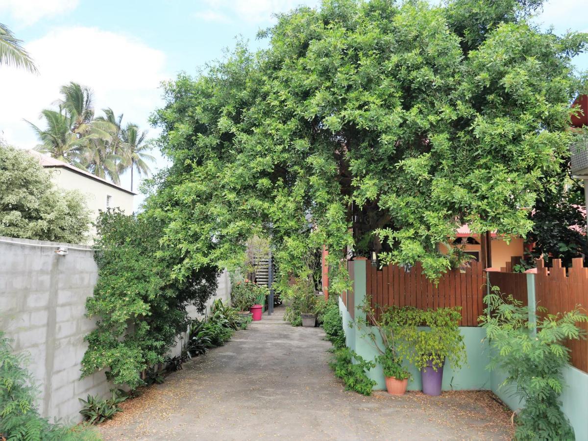 La Kazette - Votre Studio De Vacances A L Ile De La Reunion Saint-Louis Eksteriør bilde